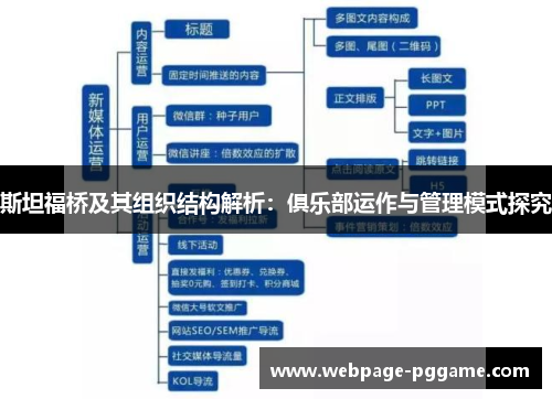 斯坦福桥及其组织结构解析：俱乐部运作与管理模式探究